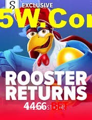 Crash Games Statistics 4466 Bet